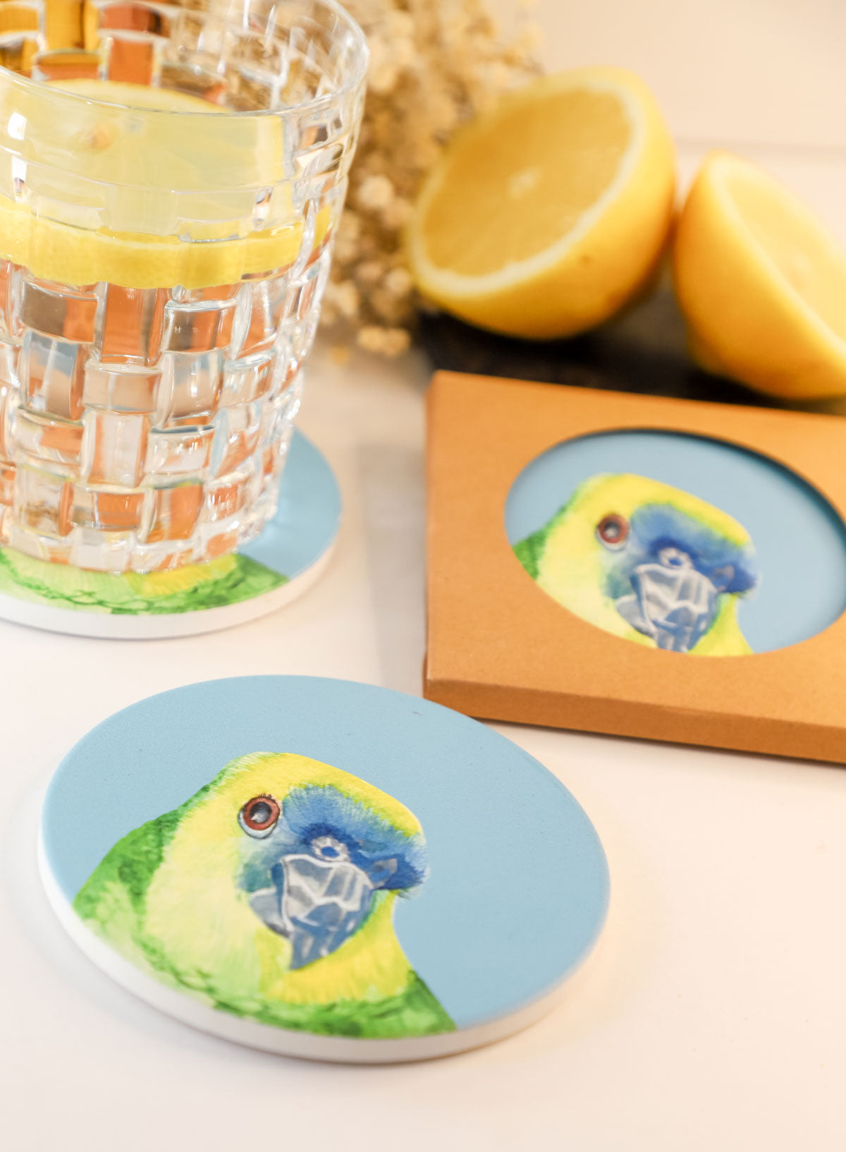 Parrot Ceramic Coaster