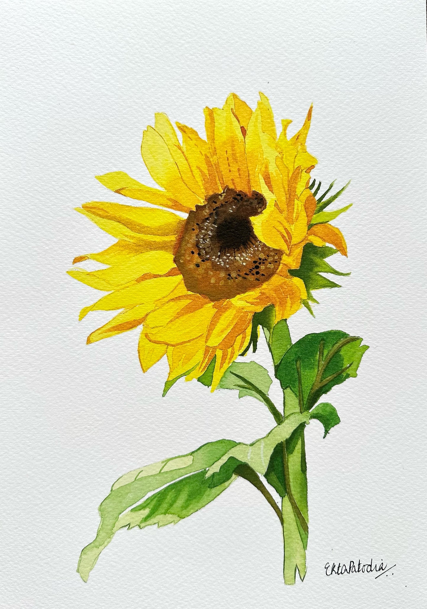“Positivity” Sunflower Fine Art Print