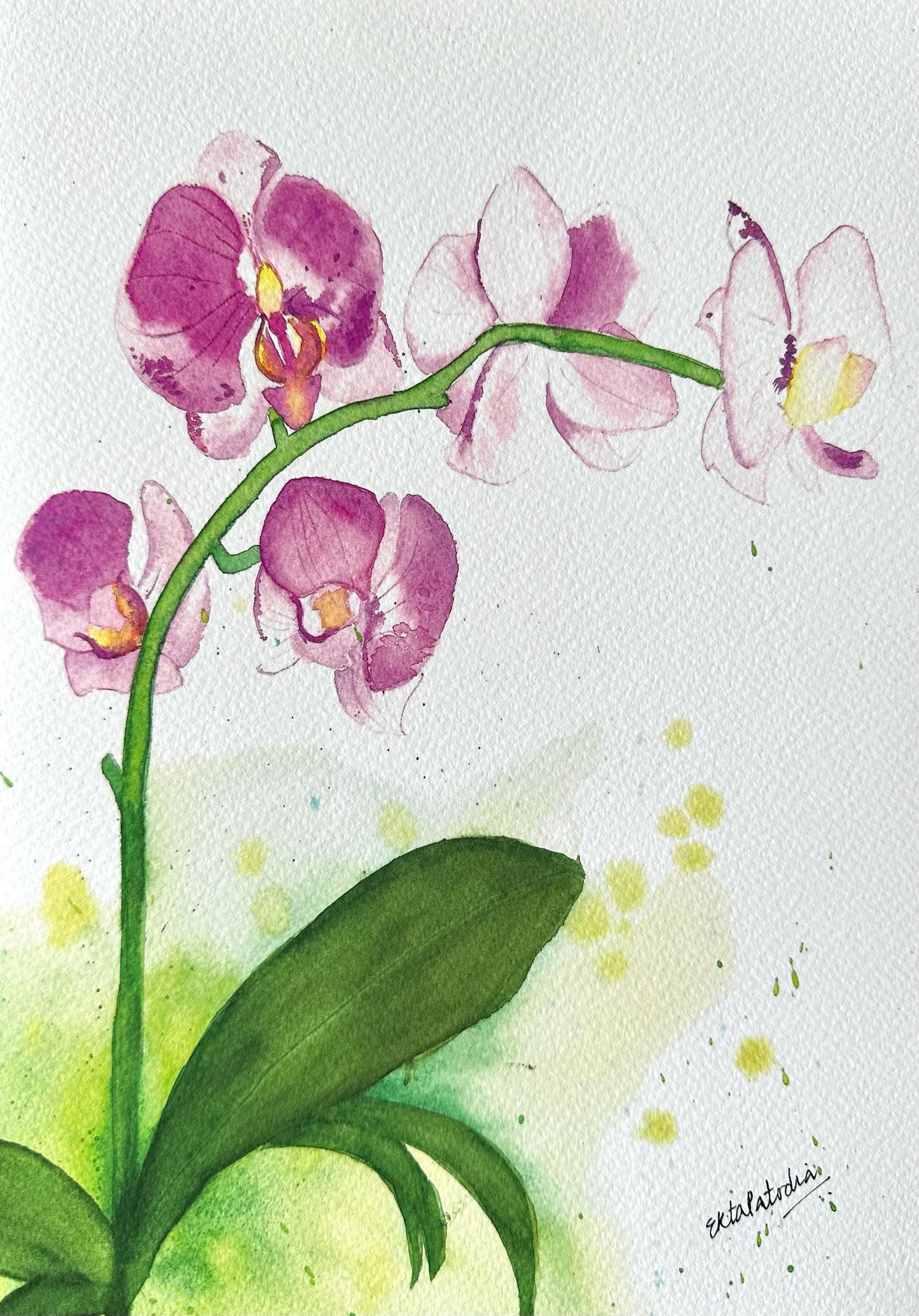 “Elegant” Orchids Fine Art Print