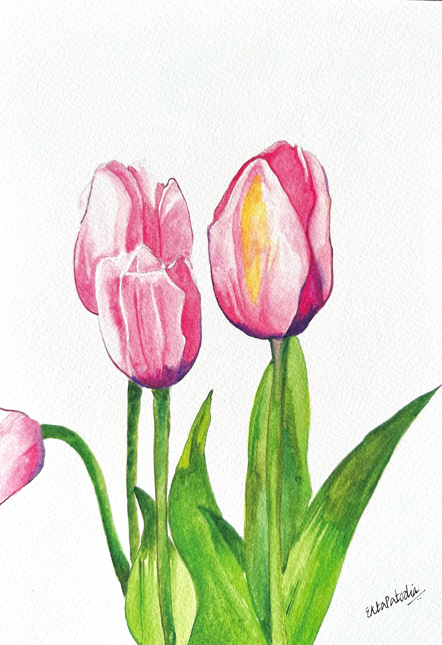 “Charm” Tulips Fine Art Print